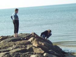 Thumb_DCP_0935.jpg 9.6K