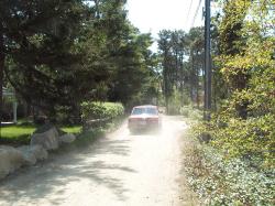 Thumb_DCP_0938.jpg 13.4K