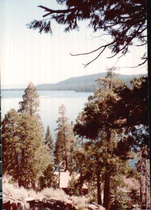 03-NatureWalk.jpg 44.2K