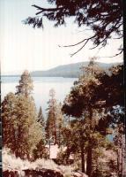 Thumb_03-NatureWalk.jpg 9.0K