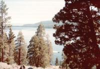 Thumb_04-NatureWalk.jpg 8.4K