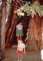 Thumb_14-BeckyValerieJennifer-TreeByFountainDeck.jpg 8.3K