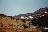 Thumb_29-MeadowNearRoundTopMt.jpg 5.9K