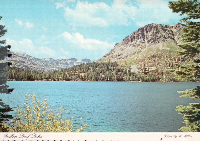 69-PostcardFromCamp-Front.jpg 119.5K