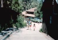 Thumb_05-HikeUpFromLodgeToWhitePineD.jpg 7.0K