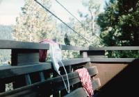 Thumb_13-DeckJay2.jpg 7.6K