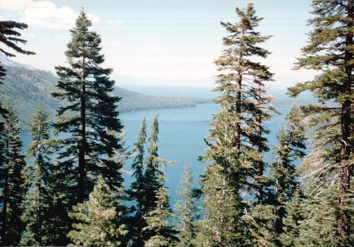 8603-FromAngoraTrail.jpg 51.4K