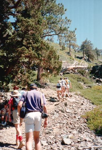 8639-MidTalacTrail.jpg 55.5K