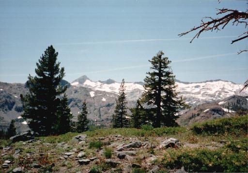 8641-ViewNearGilmoreLake.jpg 37.5K