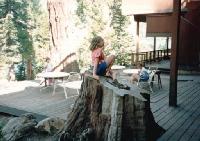 Thumb_8616-Jennifer-Becky-StumpByFountain.jpg 8.7K