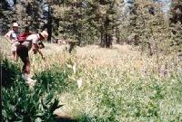 Thumb_8645-MeadowNearGilmoreLake.jpg 11.0K