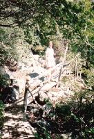 Thumb_8647-Becky-HikeAroundTheLake.jpg 12.0K