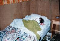 Thumb_8687-Valerie.jpg 6.7K