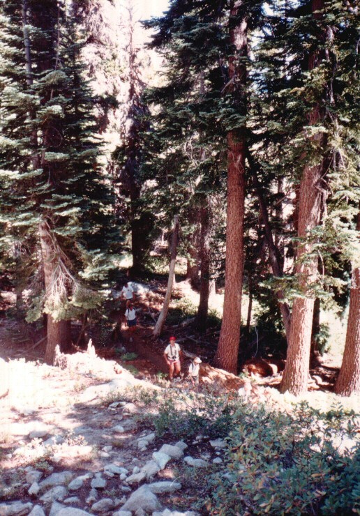 87-043-UpEagleFallsTrail.jpg 189.2K