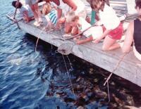 Thumb_87-016-CrawdadFishing-02.jpg 9.5K