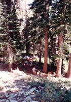 Thumb_87-043-UpEagleFallsTrail.jpg 11.0K