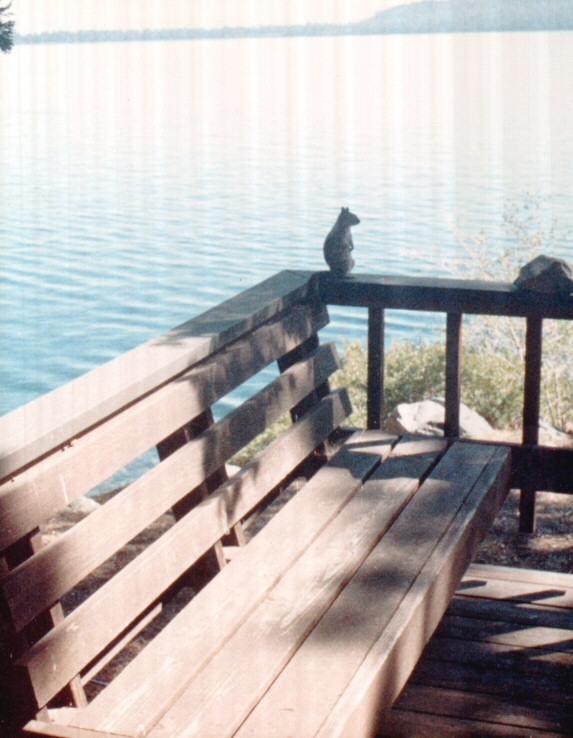 88-006-WillowF-DeckVisitor.jpg 96.5K