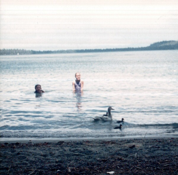 88-118-FearlessDucks.jpg 80.5K