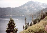 Thumb_88-099-FallenLeaf-TrailToCathedral.jpg 6.5K