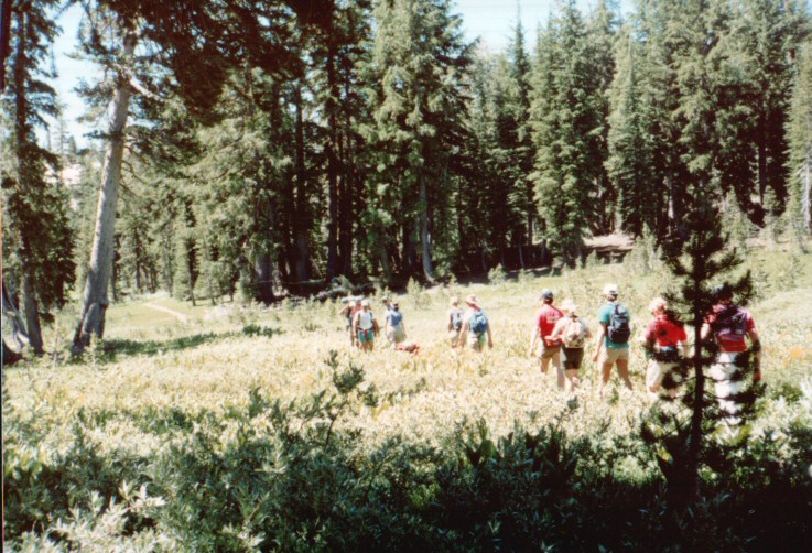 89-012-EchoHike-HaypressMeadows-01.jpg 157.3K