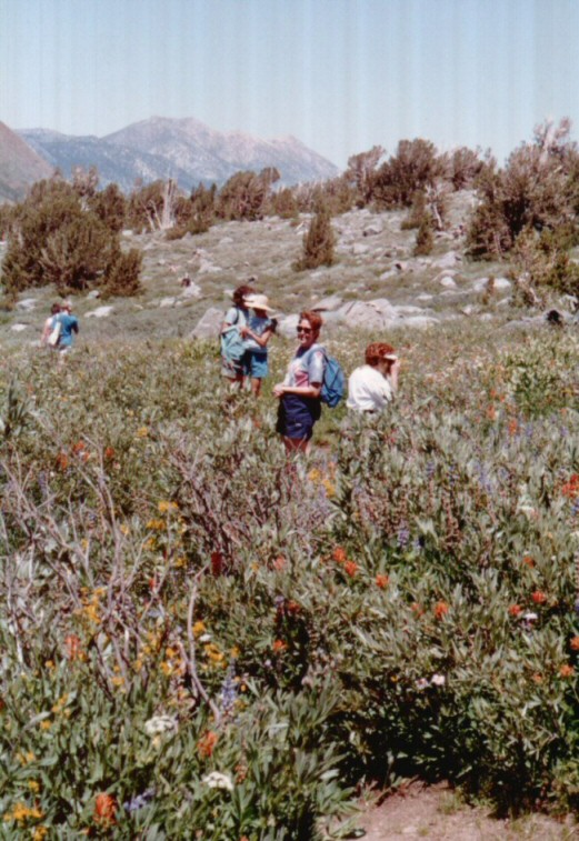 89-070-Becky-NatureHikeThroughTheFlowers.jpg 137.0K