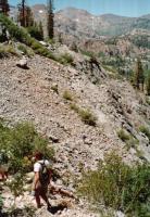 Thumb_89-020-EchoHike-DownIntoGlenAlpine-05.jpg 10.0K