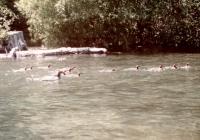 Thumb_89-134-SwimmingDucks.jpg 7.1K