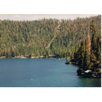 9002-FallenLeafLake.jpg 155.6K