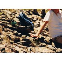 9022-MediumHike-Lunch-ChipmonkSharingWithKen.jpg 189.3K