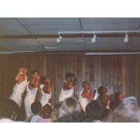 9068-FridayNightWaterBallet.jpg 93.0K