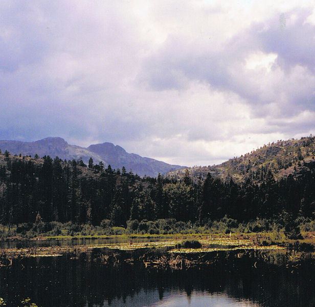 9117-LilyLake.jpg 87.6K