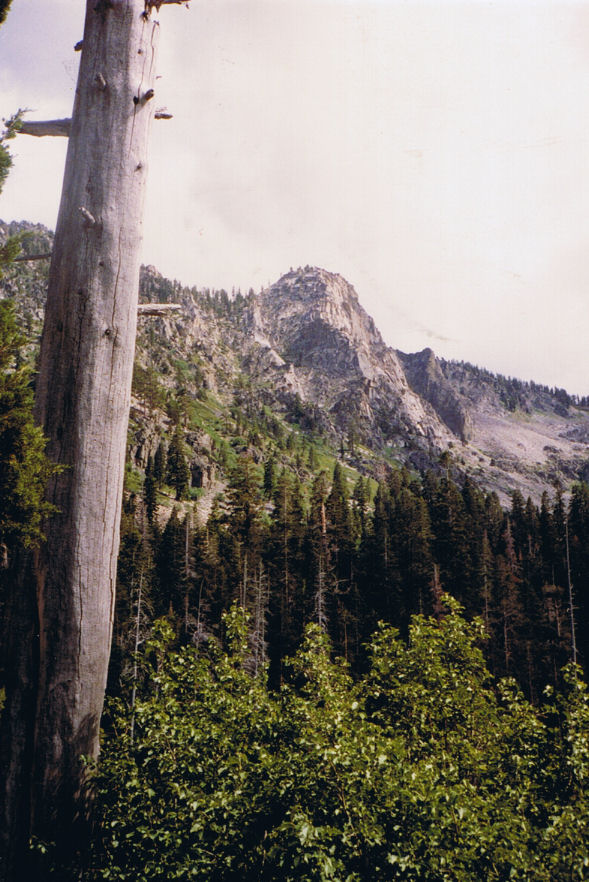 9118-ViewFromLilyLakeTowardTamarakTrail.jpg 150.0K