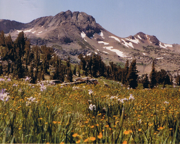 9122-NatureHike-FrogLakeLakeWinnemucca.jpg 155.2K