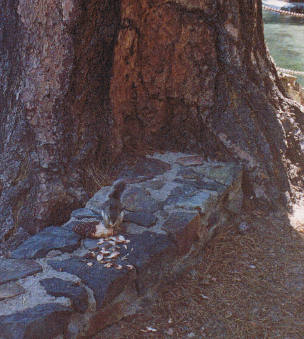 9146-SnackByTheBoatdock.jpg 126.9K