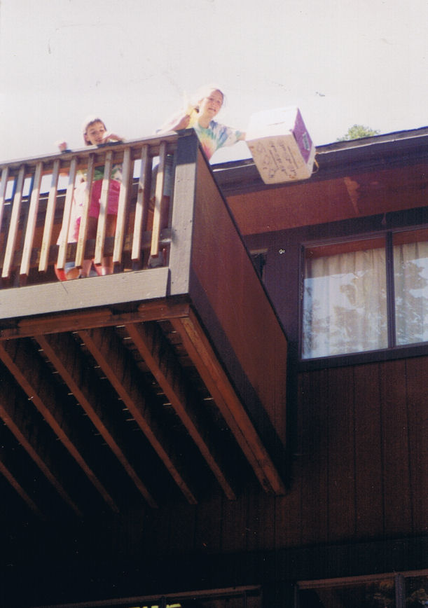 9156-Val-EggDropContest-TheDrop.jpg 81.3K