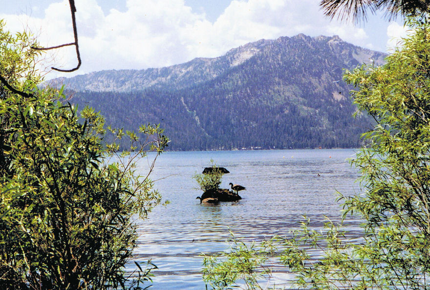 9162-HikeAroundTheLake-AngoraRidge.jpg 228.0K