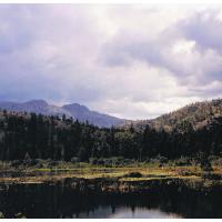 9117-LilyLake.jpg 87.6K