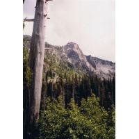 9118-ViewFromLilyLakeTowardTamarakTrail.jpg 150.0K