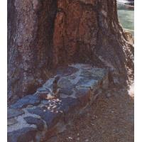 9146-SnackByTheBoatdock.jpg 126.9K