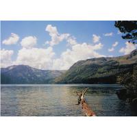 9160-HikeAroundTheLake.jpg 146.1K