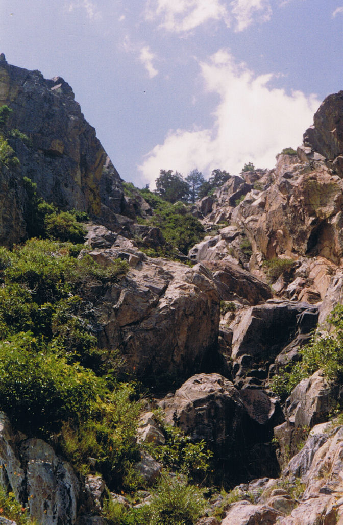 9232-Jennifer-Hike-UpTheChute.jpg 196.8K