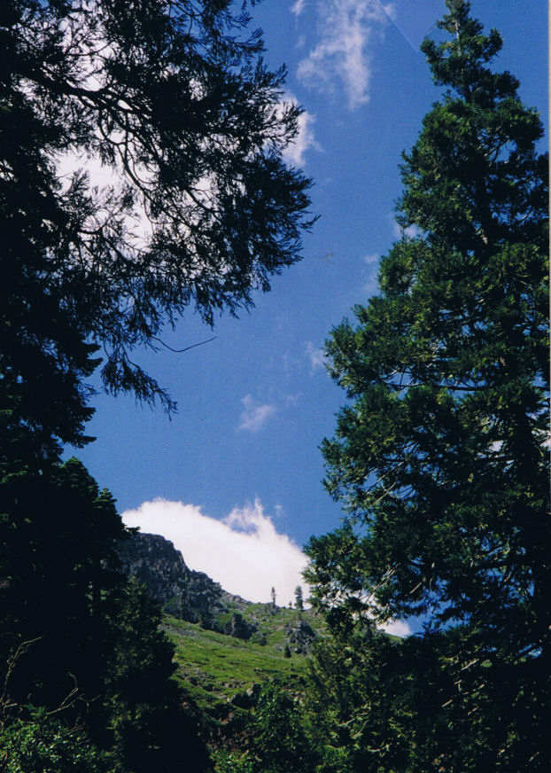 9309-LookingUpAtCathedral.jpg 166.7K