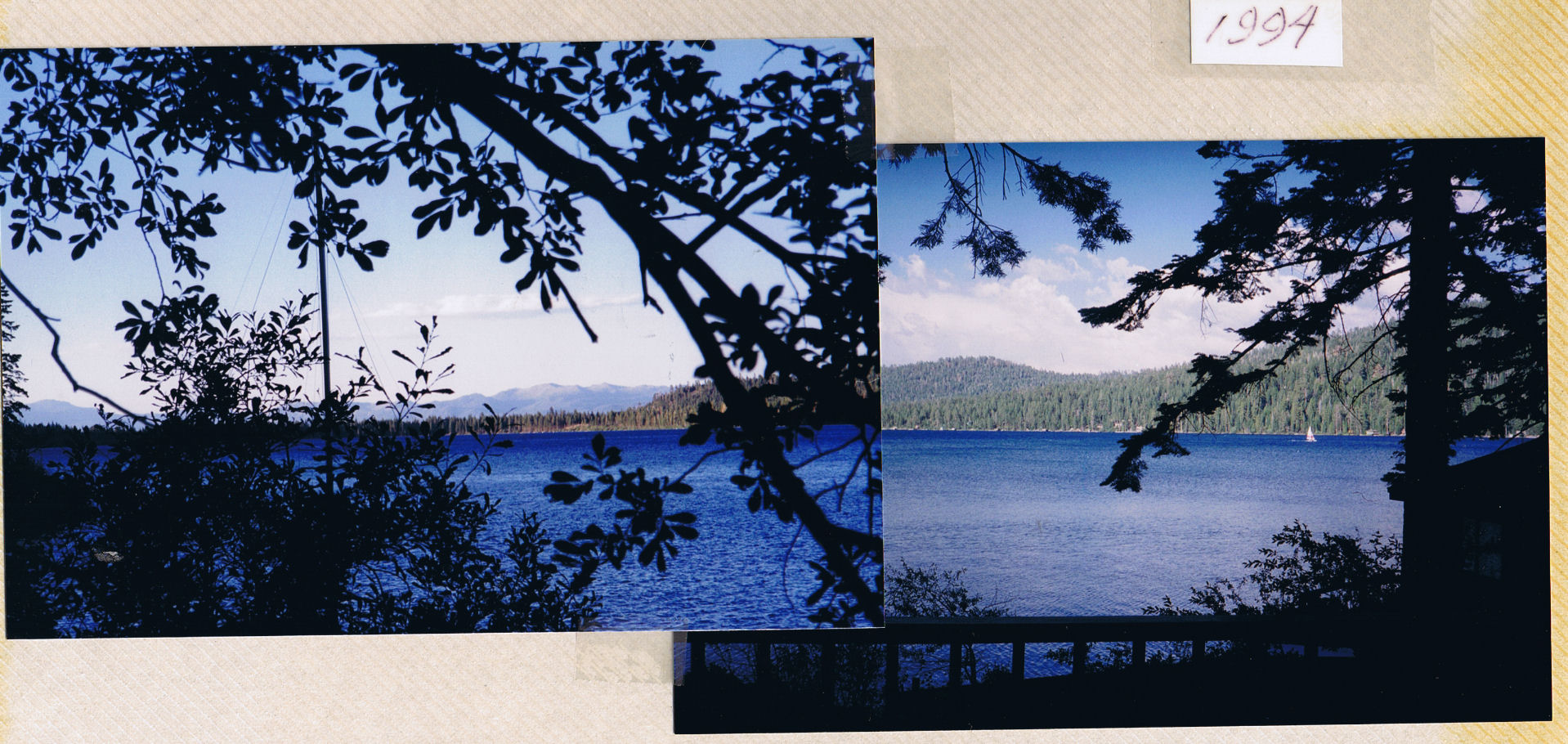 9401-WillowFDeckView.jpg 434.8K