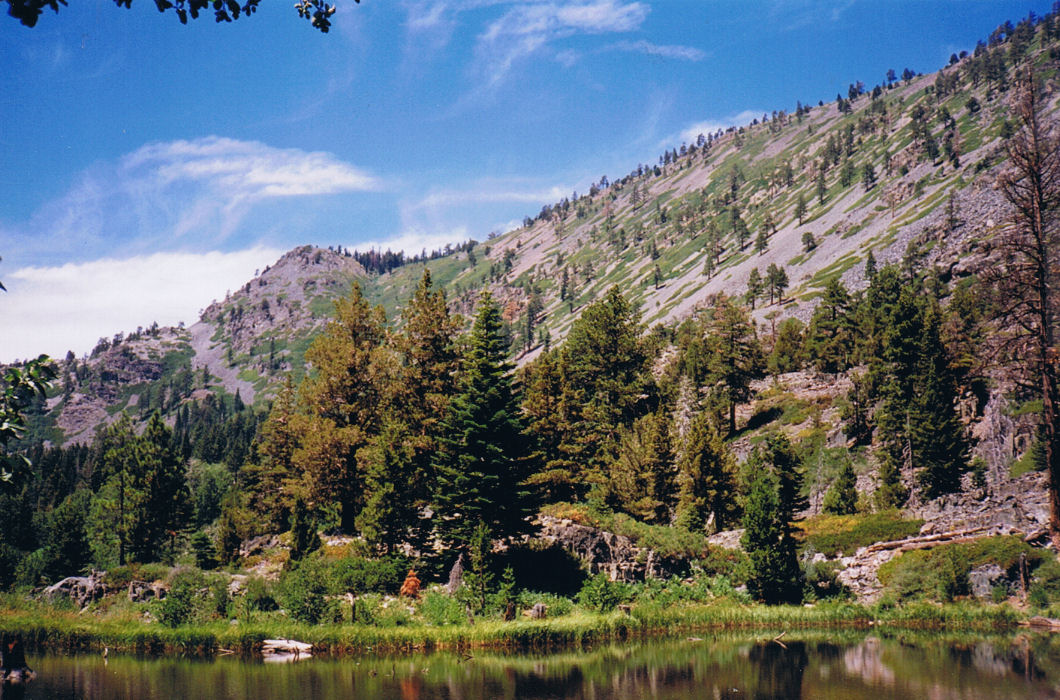 9405-MidTallacFromLilyLake.jpg 247.8K