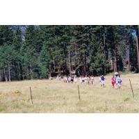 9409-HikeAroundTheLake-CrossingTheMeadow.jpg 249.4K