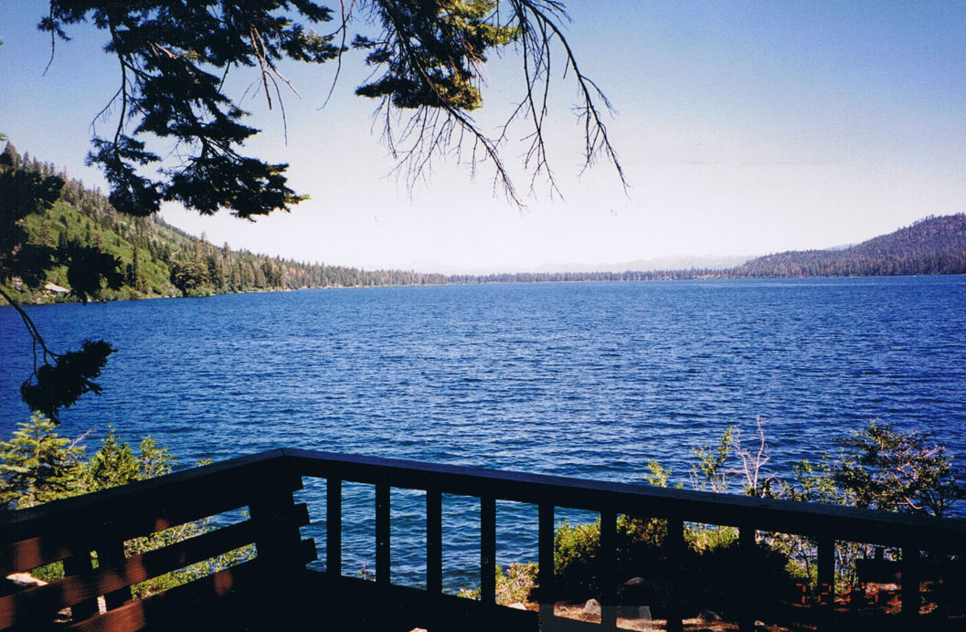 9505-WillowF-View.jpg 208.6K