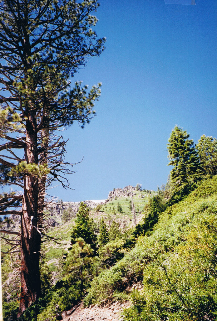 9512-Cathedral.jpg 277.6K