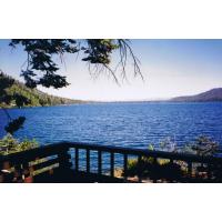 9505-WillowF-View.jpg 208.6K