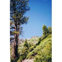 9512-Cathedral.jpg 277.6K