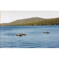 9519-TeensComingBackFromLuckyBaldwins.jpg 179.3K